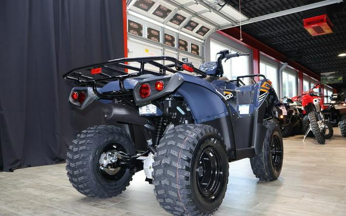 2024 Kawasaki Brute Force 300