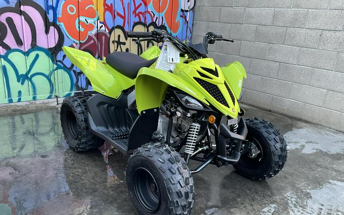 2026 Yamaha Raptor 110