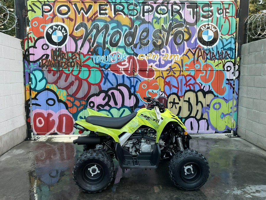 2026 Yamaha Raptor 110