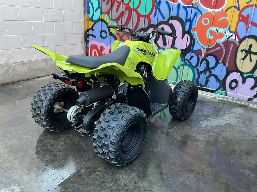 2026 Yamaha Raptor 110