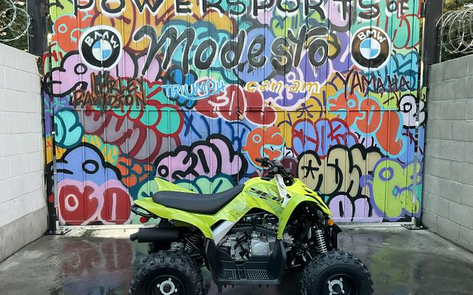 2026 Yamaha Raptor 110