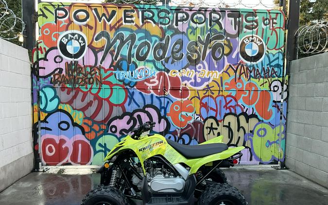 2026 Yamaha Raptor 110