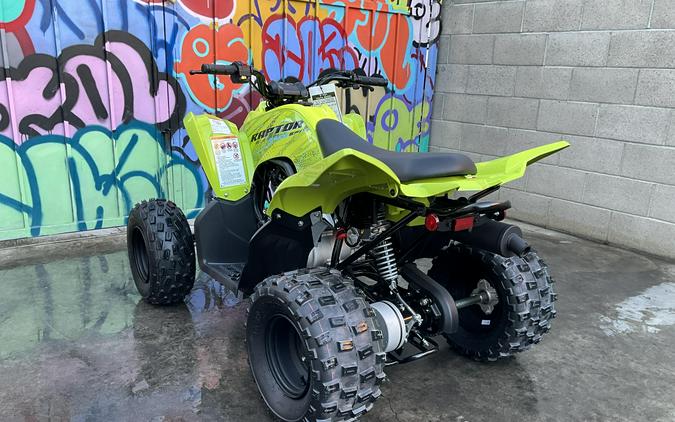 2026 Yamaha Raptor 110