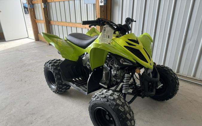 2026 Yamaha Raptor 110