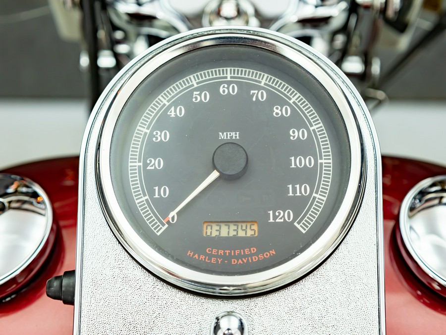 2002 HARLEY DAVIDSON FLSTS HERITAGE SPRINGER