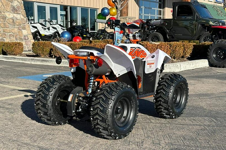 2025 Kayo Fox / Storm 70