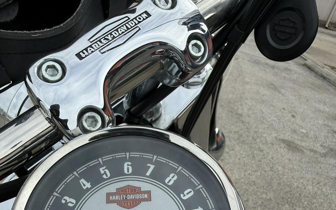 2009 Harley-Davidson Heritage Softail® Classic