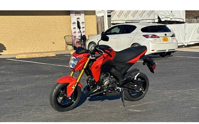 2025 Kawasaki Z125 Pro