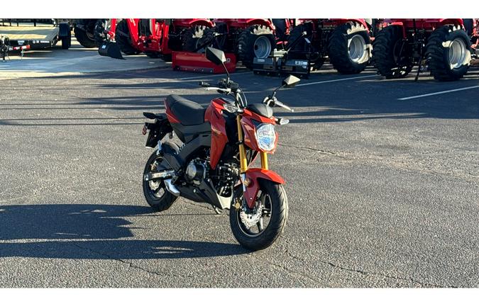 2025 Kawasaki Z125 Pro