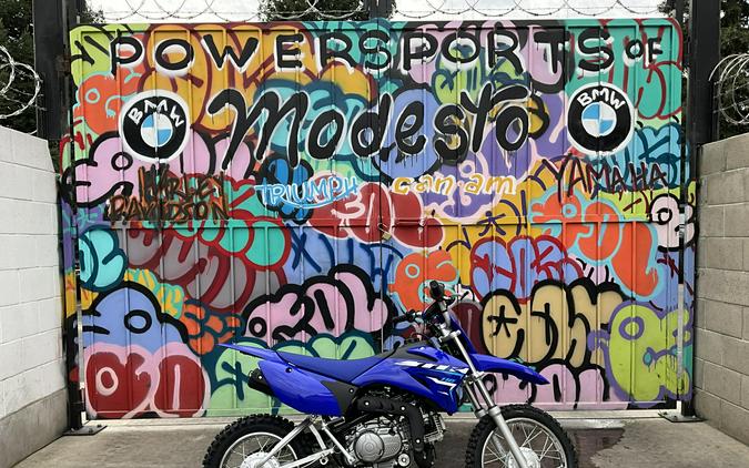 2026 Yamaha TT-R110E