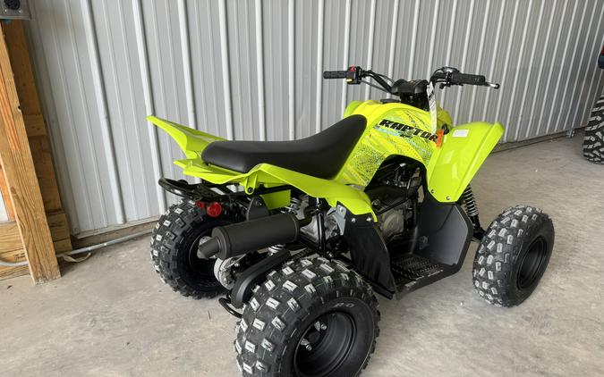 2026 Yamaha Raptor 110