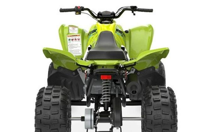 2026 Yamaha Raptor 110