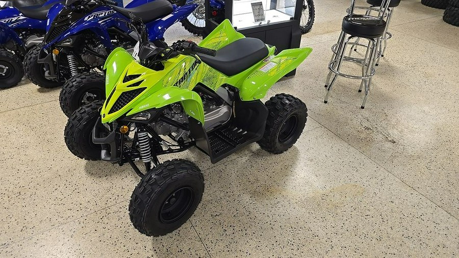 2026 Yamaha Raptor 110