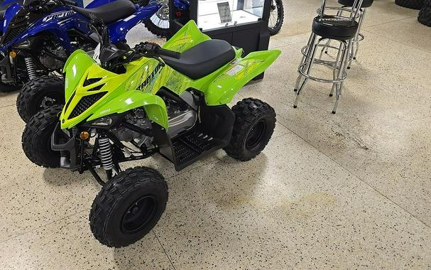 2026 Yamaha Raptor 110