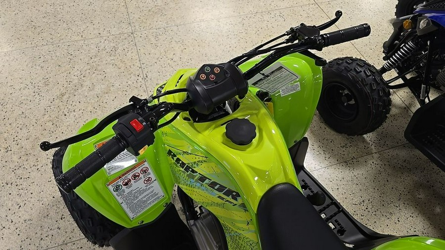 2026 Yamaha Raptor 110