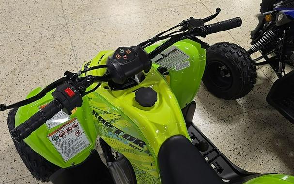 2026 Yamaha Raptor 110