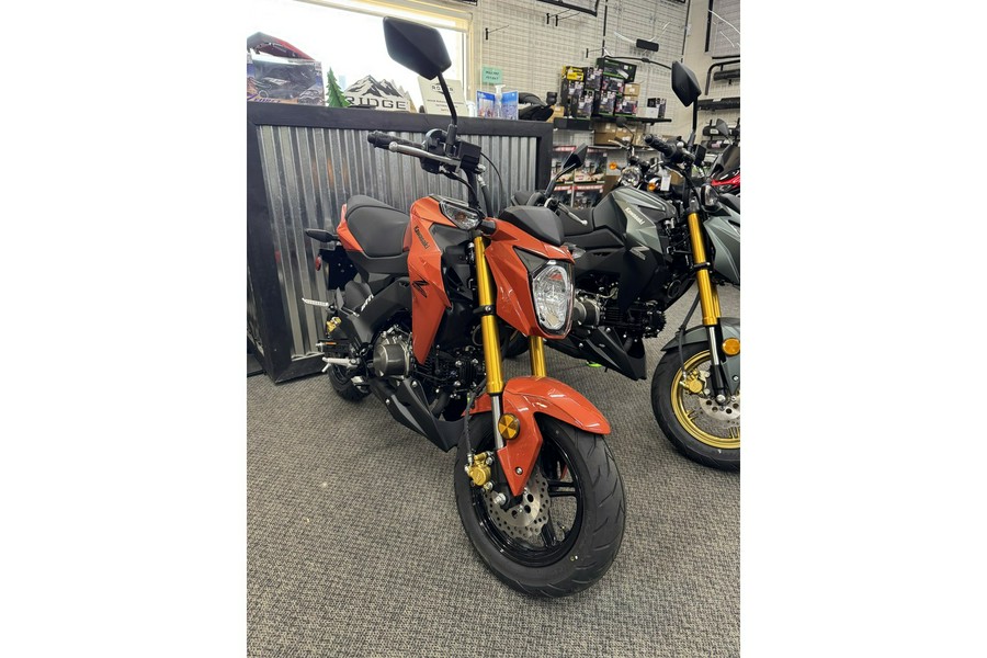 2025 Kawasaki Z125 Pro