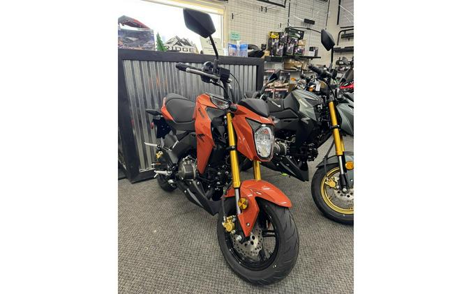2025 Kawasaki Z125 Pro