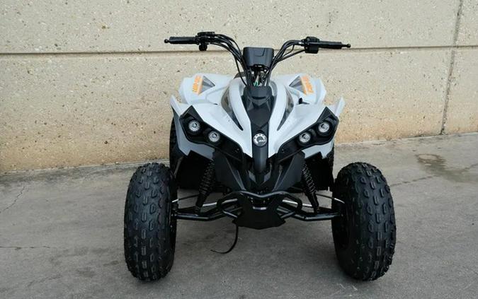 2026 Can-AM Renegade 110 EFI