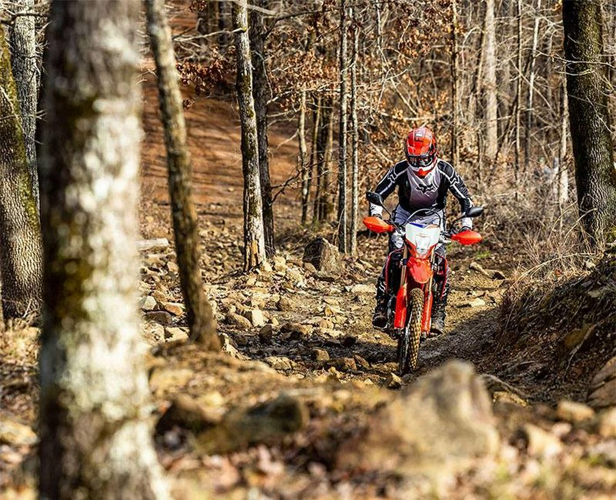 2025 Honda CRF300L
