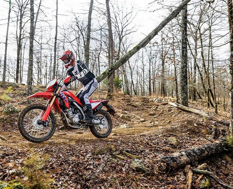 2025 Honda CRF300L