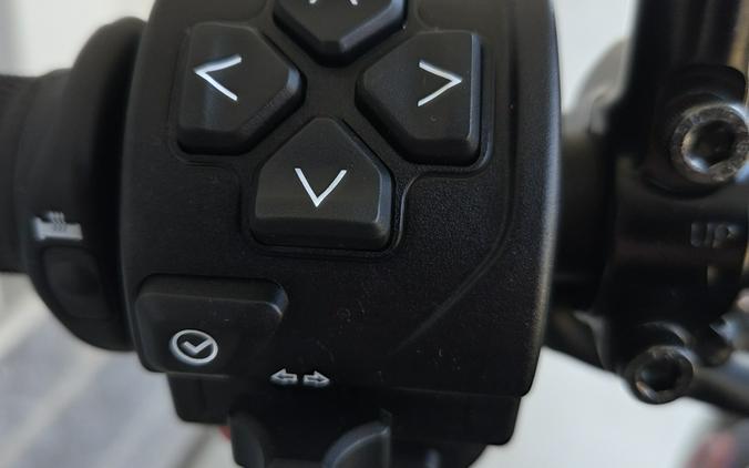 2026 TRIUMPH TRIDENT 660 TRIBUTE