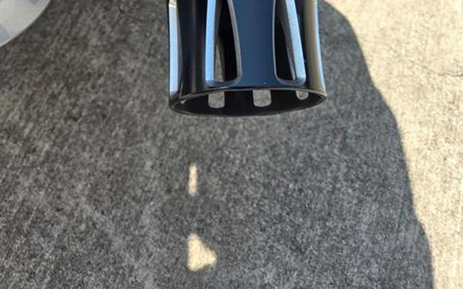 2019 Harley-Davidson Street Glide® Special
