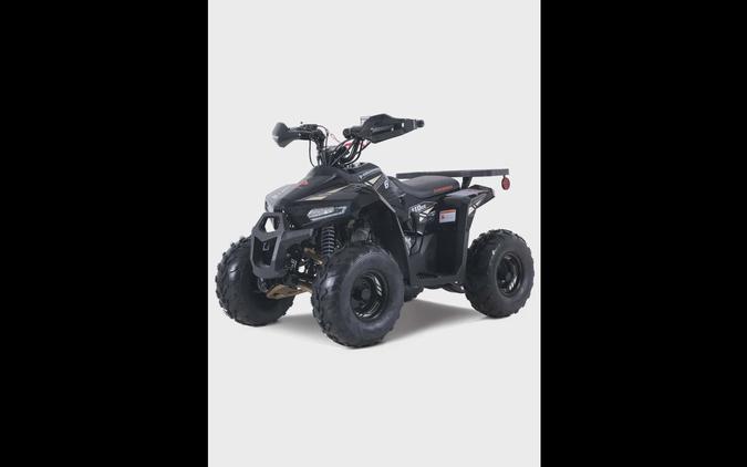 2025 DENAGO POWERSPORTS MUDHAWK 6