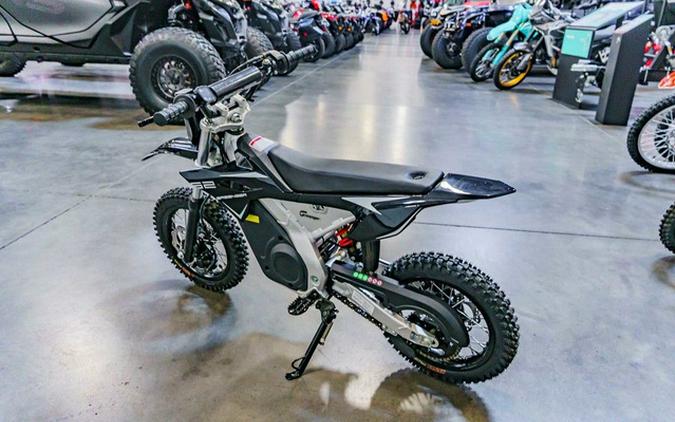 2025 GREENGER G2