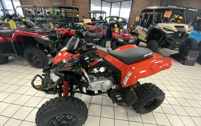 2024 Can-Am™ DS 250