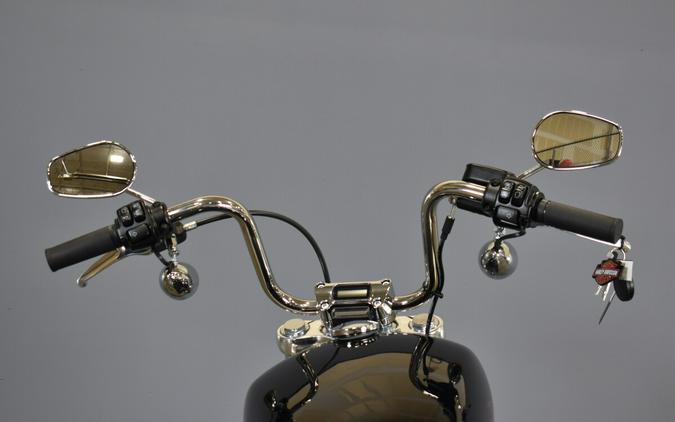 2024 Harley-Davidson® Softail® Standard FXST