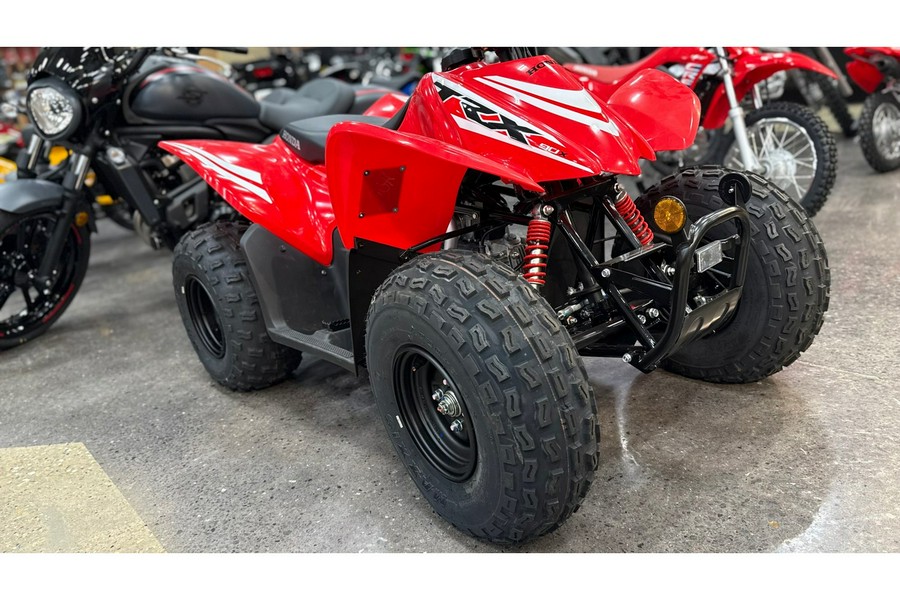 2025 Honda TRX90X