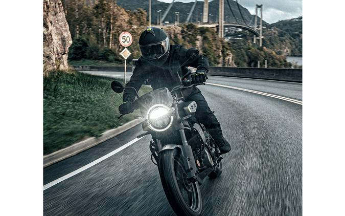 2024 HUSQVARNA SVARTPILEN 401 - 212263