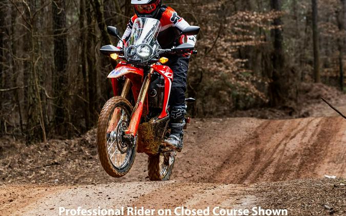 2023 Honda CRF 300L Rally