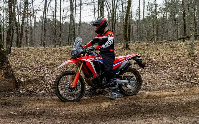 2023 Honda CRF 300L Rally