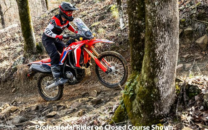 2023 Honda CRF 300L Rally