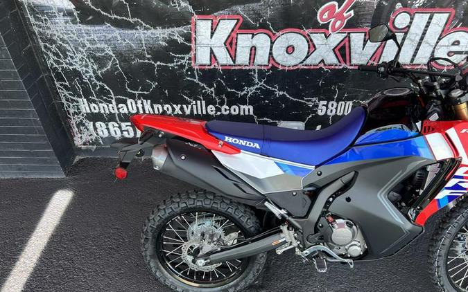 2026 Honda® CRF300L Rally