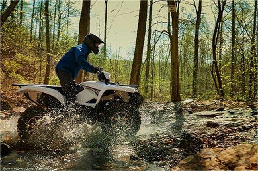 2018 Yamaha Grizzly EPS