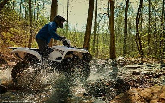 2018 Yamaha Grizzly EPS