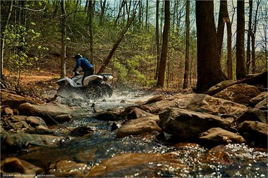 2018 Yamaha Grizzly EPS