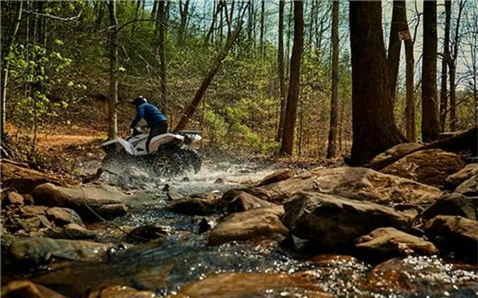 2018 Yamaha Grizzly EPS