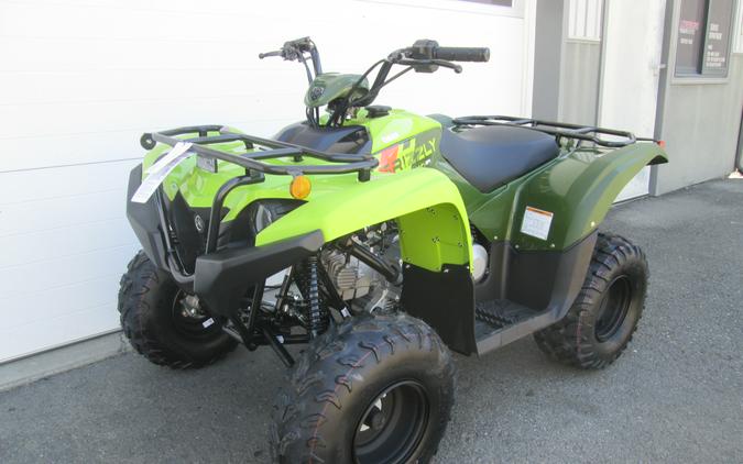 2027 Yamaha Grizzly 110