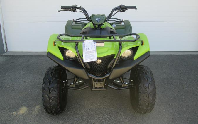 2027 Yamaha Grizzly 110