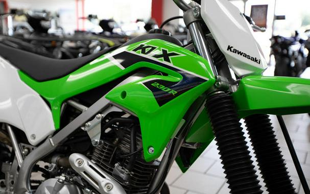 2023 Kawasaki KLX®230R