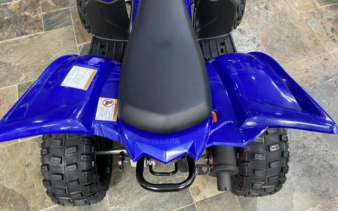 2024 Yamaha Raptor 110