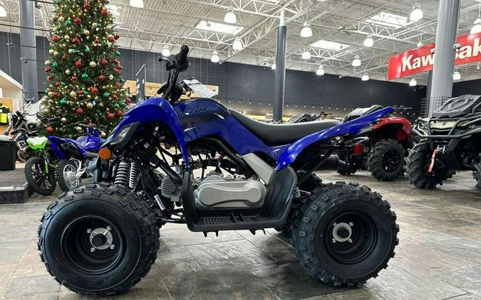 2024 Yamaha Raptor 110