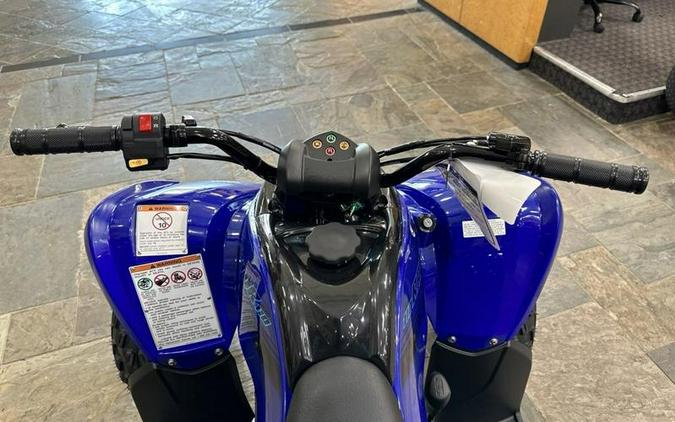 2024 Yamaha Raptor 110