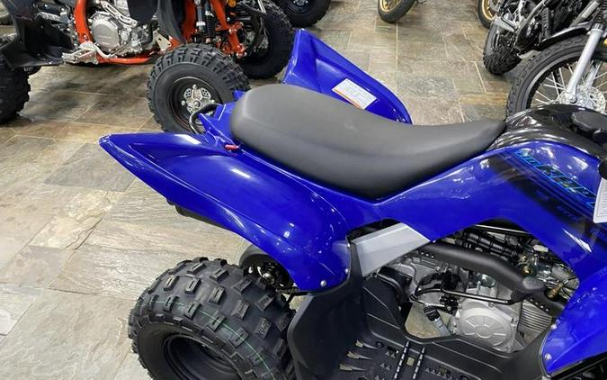 2024 Yamaha Raptor 110