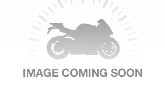 2020 Ducati Multistrada 950 S Spoked Wheels