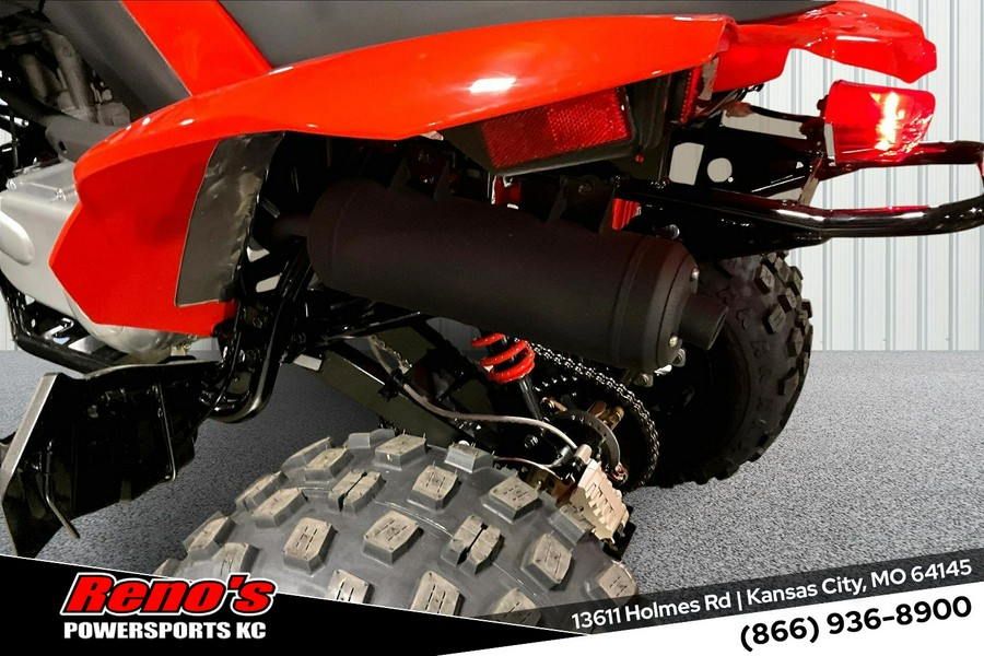 2026 Can-Am DS 250